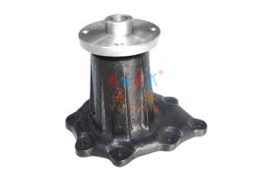 China 21010-19D10 Water Pump Assy NISSAN For Engine FD46T wholesale