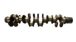 1123106751 Crankshaft Isuzu 6wg1 Engine Parts