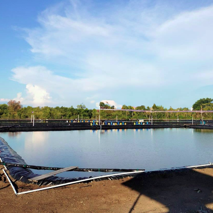 Sample Provided HDPE Geomembrane for Lake Tank Dam Lining Swim Pool Fish Pond Farm