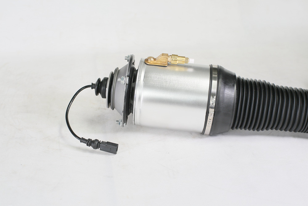 Front Volkwagen Struts Suspension Replacement Fit Phaeton 3W0616039D