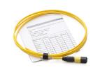 3.0mm 12F MPO Female Fiber Optical Pigtail Single Mode