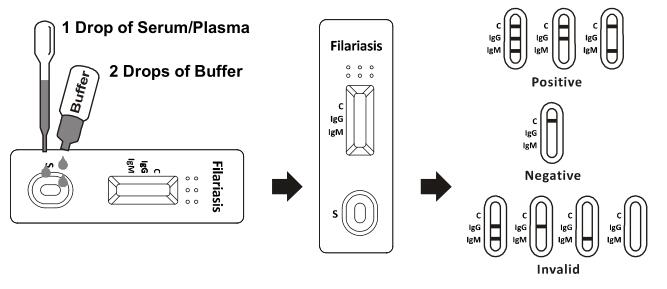 Filariasis IgG/IgM Rapid Test, Serum/Plasma, Filariasis parasites Infectious Disease Test Kit