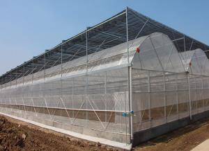 China Anti Drip Plastic Film Greenhouse Light Transmission 80%-90% wholesale