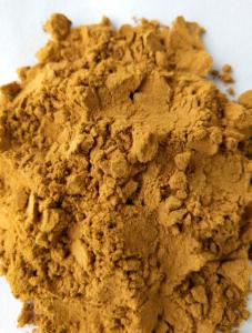 China Chinese Herb Polygonum Multiflorum He Shou Wu Foti Root Extract 10% powder wholesale