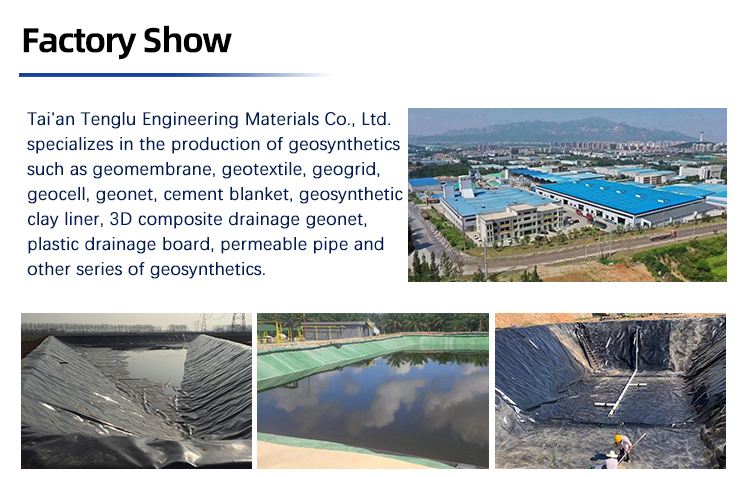 CE Certified HDPE Black Anti-Seepage Geomembrane for Industrial Design Style Landfill
