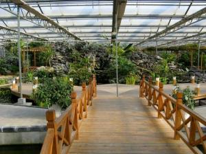 China Easily Assembled DIY Glass Greenhouse , Glass Greenhouse Kit Waterproof wholesale