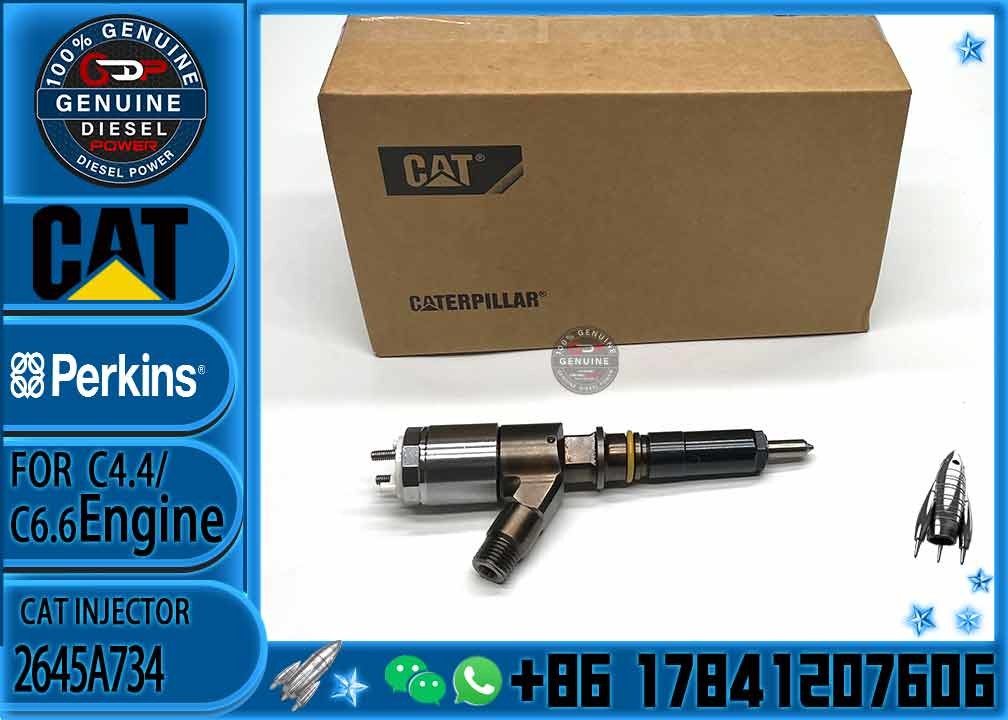 diesel fuel Injector 2645A734 2645A749 2645A747 10R-7671 10R-7672 2645A718 10R-7673