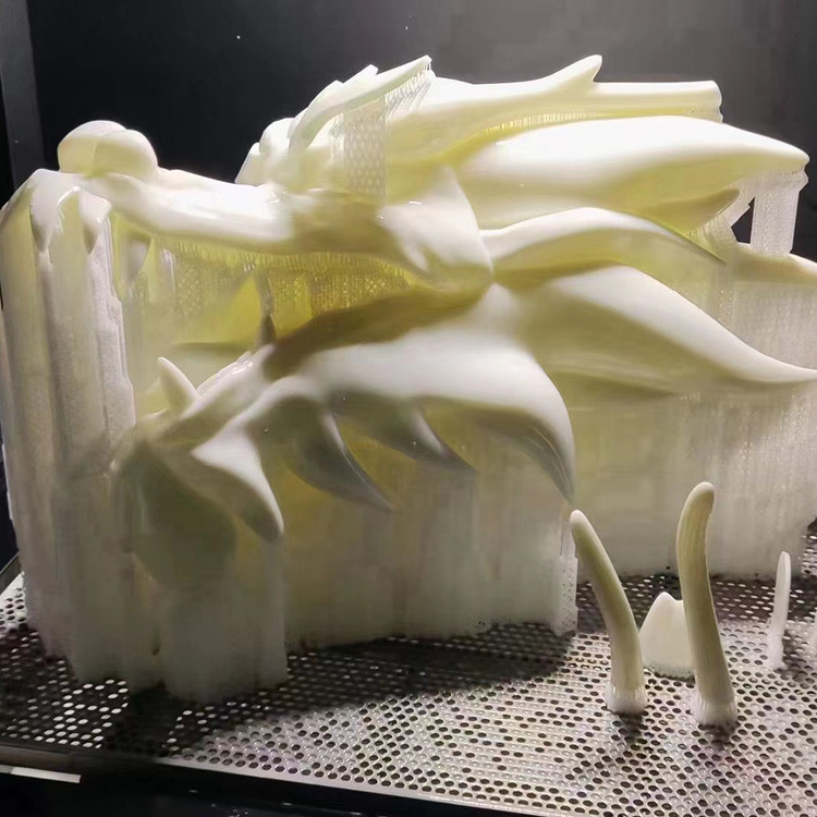 3d Printing Rapid Prototyping Services For Jewelry Plastic Peek