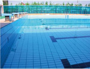 China 24kg/ctn 115x240mm Swimming Pool Mosaic Tiles Ceramic Outdoor Indoor Pool 6mm wholesale