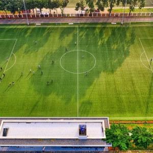 China 50mm PE School Artificial Outdoor Soccer Synthetic Grass wholesale