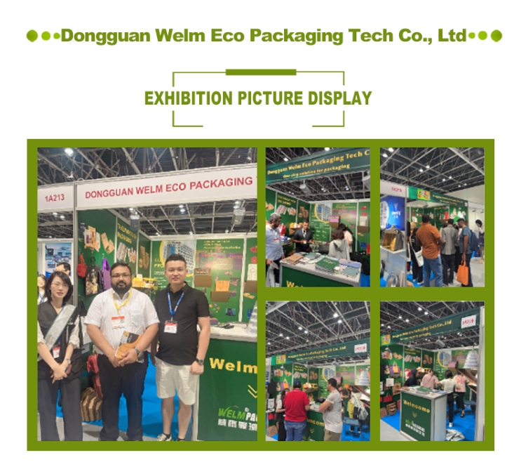 Biodegradable Burger Hamburger French Fries Boxes Package Customized Shape