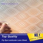 PLASTIC LENTICULAR fly eye lenticular sheet 0.5mm small dot lens film clear PP
