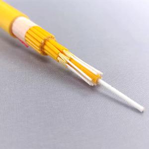 China Indoor LSZH Aramid Yarn Strength G652D Fiber Optic Cable GJPFJH 4 6 8 12 24 48 Core wholesale