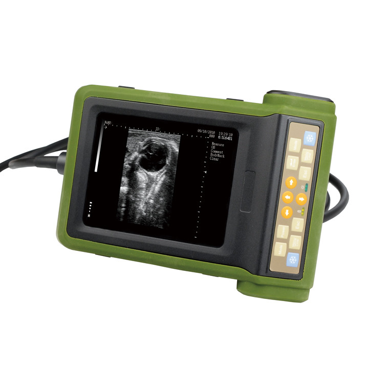 RKU10 Veterinary Wireless Ultrasound Scanner Diagnostic Instruments B Mode