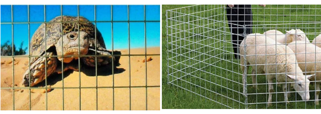 50×50×2.5mm Metal Cage Powder Coated Wire Mesh Panels 2.2m Galvanized Steel
