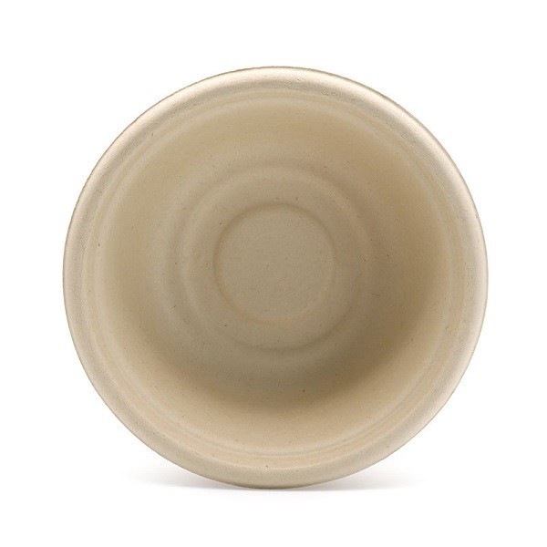 Disposable Biodegradable Sugarcane Eco Friendly Take Away Food Container Bagasse