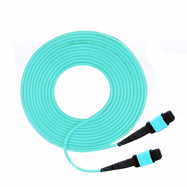 SC Connector PC OM2 1M 3.0mm MPO Fiber Optic Patch Cord