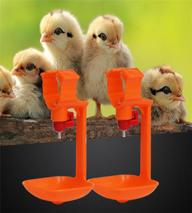 Nipple 30cm Poultry Water Drinkers 150ml Min Chicken Feeder Cups