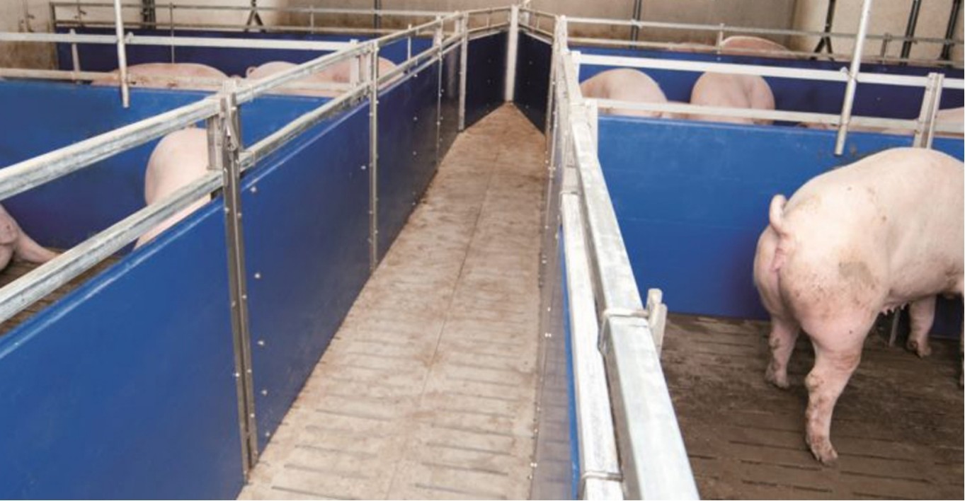PVC Panel Fence Fattening Pen Piglet Nursery Crate With Finishing Feeder