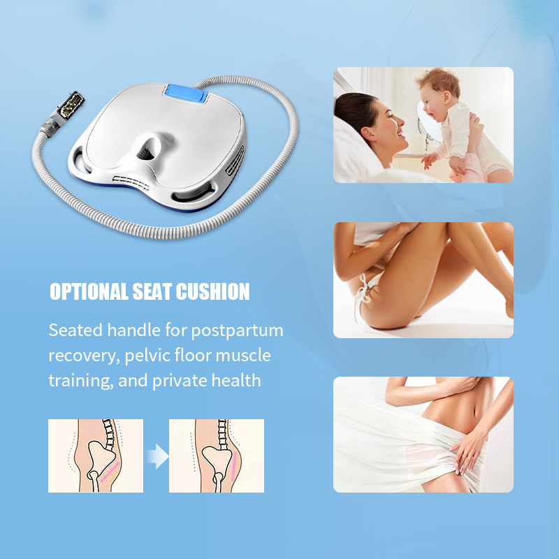Tesla Ems Laser 2 Handles Intensity Pulsed Electromagnetic RF 5000w Muscle Stimulator