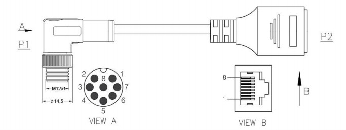Male Female Waterproof M12 To Rj45 Connector A B D X Coded Outdoor CMX Rated