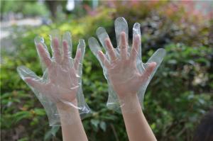 China PE Household Daily Oil Proof 0.6g Disposable Hand Gloves wholesale