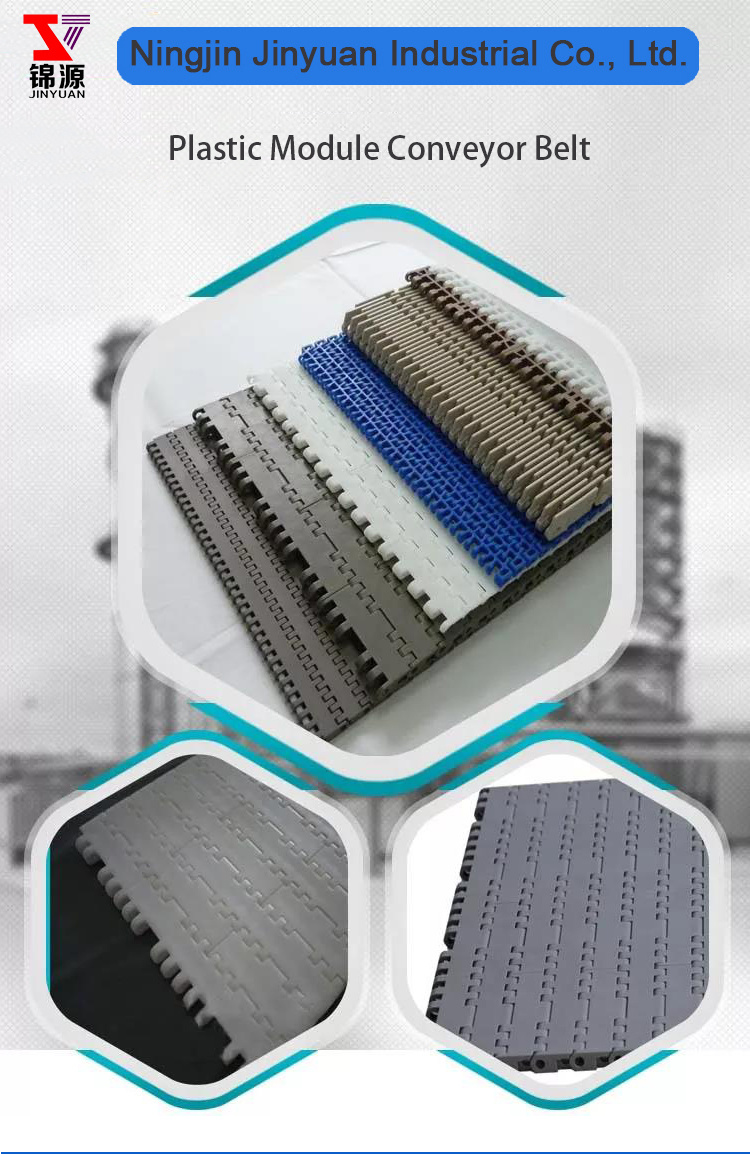 Plastic Module Belt for Conveyor System with Competitive Price