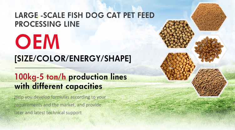 Automatic PLC Controlled Full Production Line for Dry Dog Pet Food Processing Machine