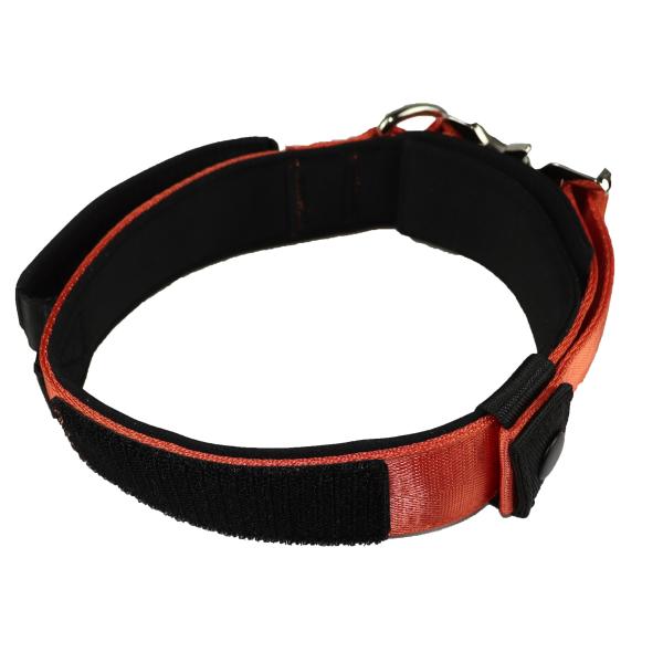 30 28 Inch Custom Dog Collars For Large Dogs Xl Xs Xxs Nylon Custom Pet Collar