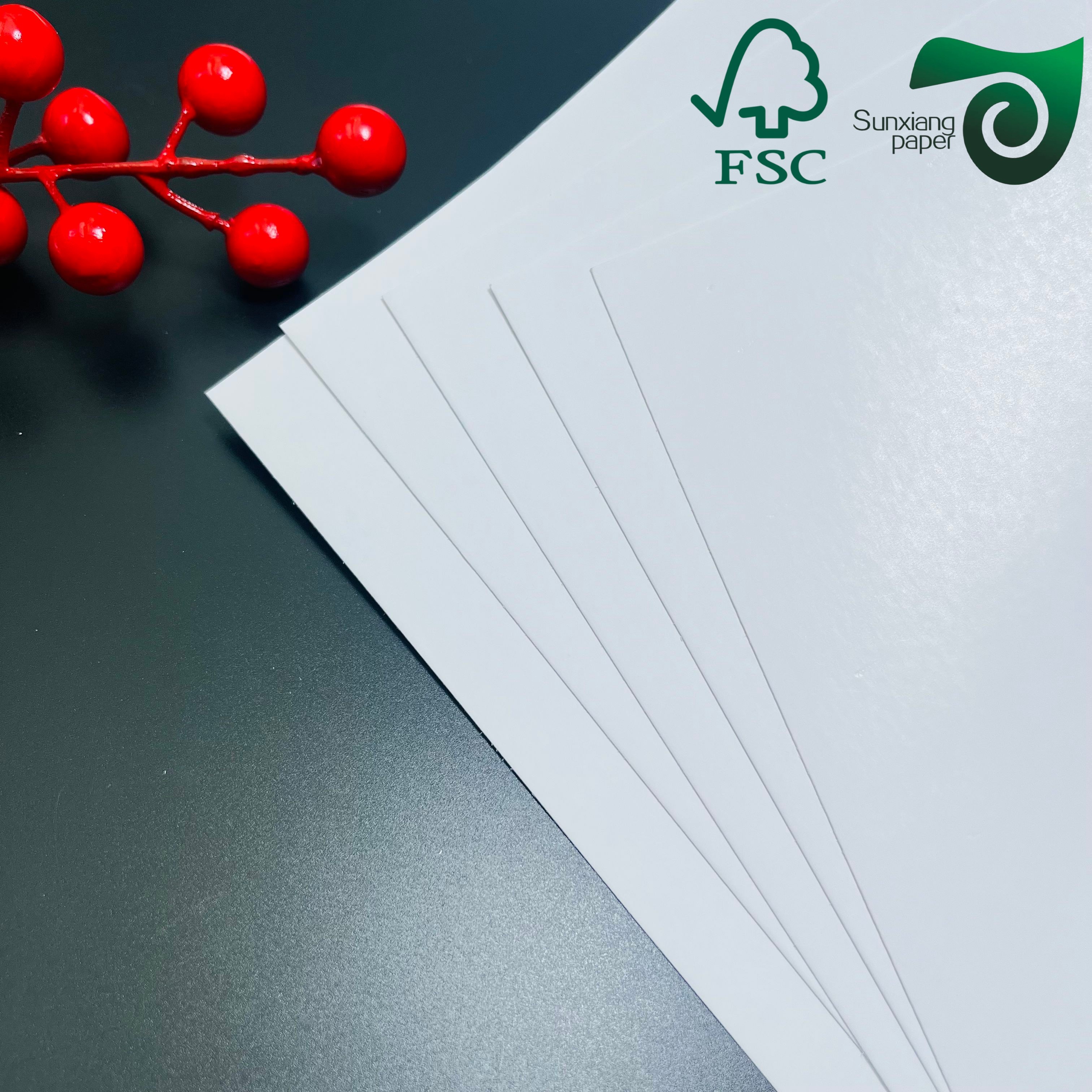 FSC Customizable Shiny Double Sided C2S Coated Paper 20 26 Inches 18PT 24PT