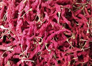 China Spicy Fragrance Xian Chilli 15CM Sun Dried Red Peppers 10000SHU wholesale