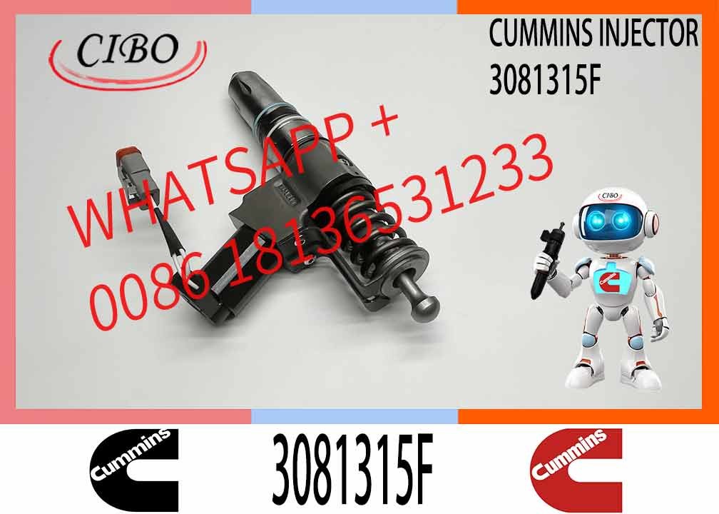NINE Brand Engine Parts Fuel Injector 3081315F Diesel Injector 3081315F
