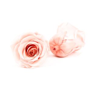 China Handmade 5-6cm Diameter Immortal Rose Flower For Mothers Day Gift wholesale