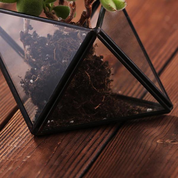 Mini Metal Tabletop Geometric Air Plant Holder , Himmeli Decor Glass Air Plant Holder
