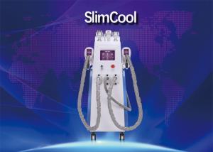 China 40KHZ Cavitation Body Slimming Machine For Fat Freeze Cryolipolysis Treatment wholesale