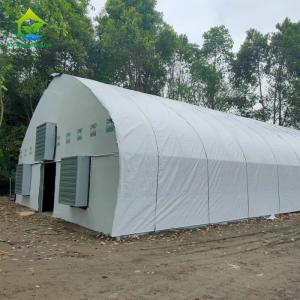 China Customized Cannabis Light Dep Solutions Electric Film Roller Blackout Greenhouse wholesale