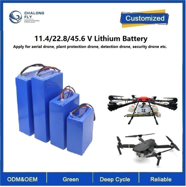 CLF OEM lithium battery 22000Mah LiFePO4 NCM 22.8V 33V 43.2V 6S 12s Lithium Ion