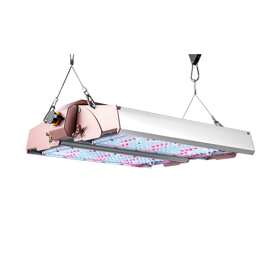 2x2ft Full Spectrum LED Grow Light long lasting life for indoor gardening