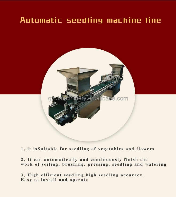 Tomato Seeding Machine for 9 Rows Basil Fennel Seed Lettuce Sowing Vegetable Seeder