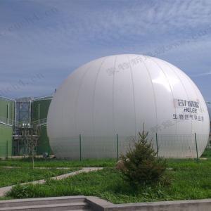 China Customized Industrial Dual Membrane Gas Balloon Ground Mounted wholesale