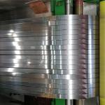 0.1mm thickness Ss 304 316 310 Cold rolled Stainless Steel Strips Coils