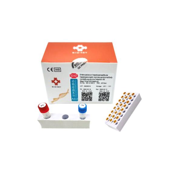 Shrimp Enterocytozoon Hepatopenaei Acute Hepatopancreatic Necrosis PCR