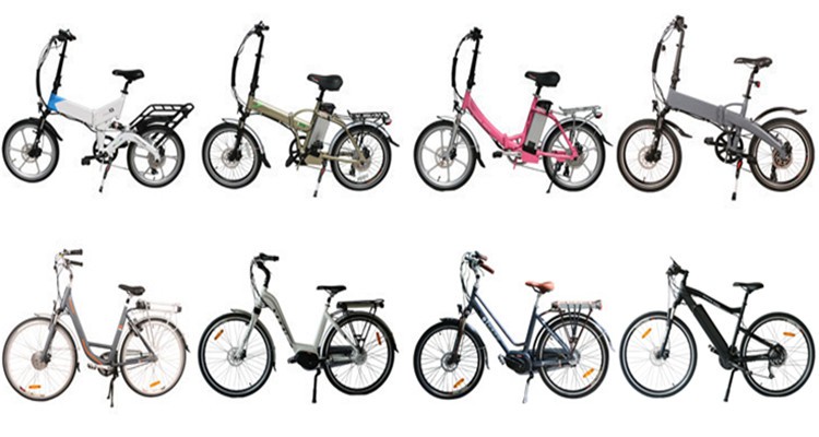8 Magnet Pedal Assist 48V 10AH MTB Style Foldable Electric Bicycle 24 Inch 26 Inch Optional One Seat