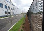 Chinese Professional Manufacturer PVC COATED Chain Link Fence Safety Fencing for