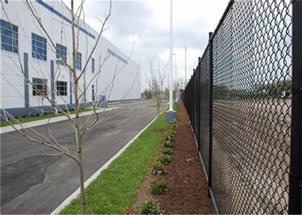 Chinese Professional Manufacturer PVC COATED Chain Link Fence Safety Fencing for