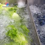 Tengsheng Fruit And Vegetable Washing Machine Pests Eliminating Saint Dragon