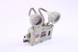 China Industrial 2*3Watt 220VAC 24/36VDC Flameproof Emergency Lighting wholesale