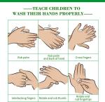 Waterless Instant Hand Sanitizer Anti Bacteria Moisturizing Liquid No Clean