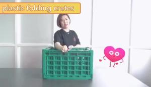 China Disposable Totes Plastic Storage Food Container wholesale