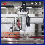 2L-5L Liquid Detergent Packaging Machine 3000 Bottles Per Hour